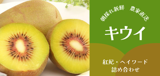 山梨県産 キウイ あおいふぁーむ 山梨百貨店