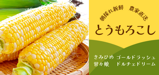 山梨県産 とうもろこし きみひめ 甘々娘 ドルチェドリーム ゴールドラッシュ 山梨百貨店