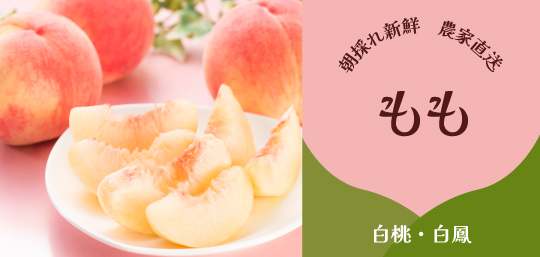 山梨県産 桃 白桃 黄金桃 山梨百貨店