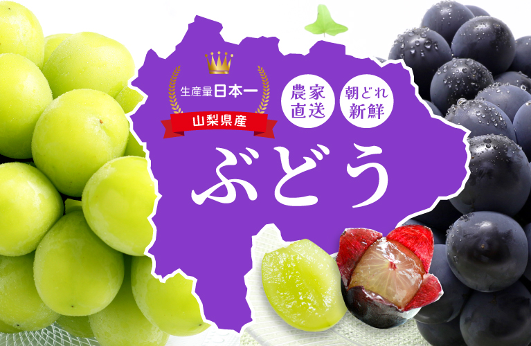 山梨県産 ぶどう シャインマスカット 巨峰 ピオーネ 藤稔