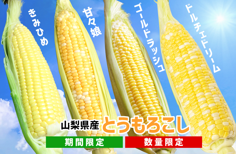 山梨県産 とうもろこし きみひめ 甘々娘 ドルチェドリーム ゴールドラッシュ