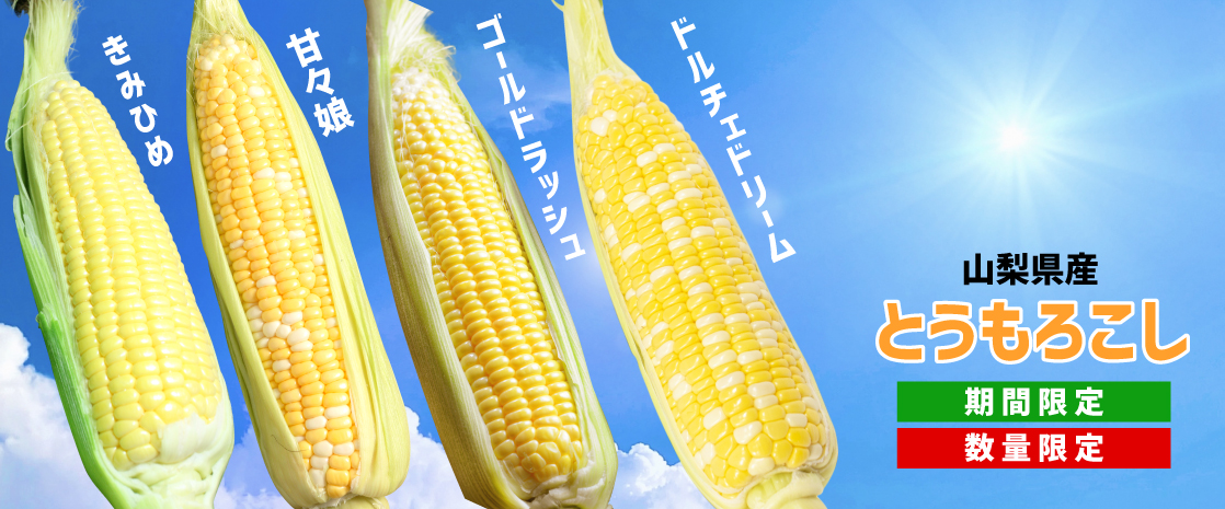 山梨県産 とうもろこし きみひめ 甘々娘 ドルチェドリーム ゴールドラッシュ