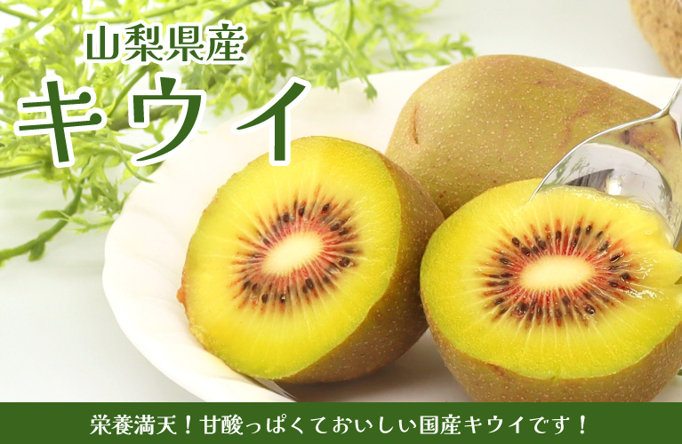 山梨県産 キウイ 紅妃 ヘイワード レッドキウイ