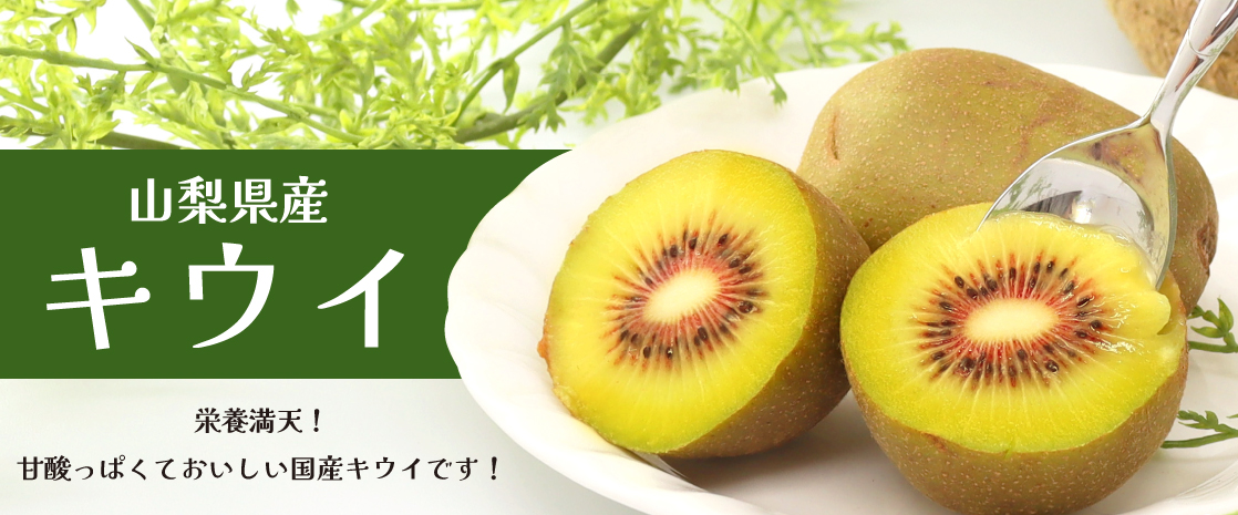 山梨県産 キウイ 紅妃 ヘイワード レッドキウイ