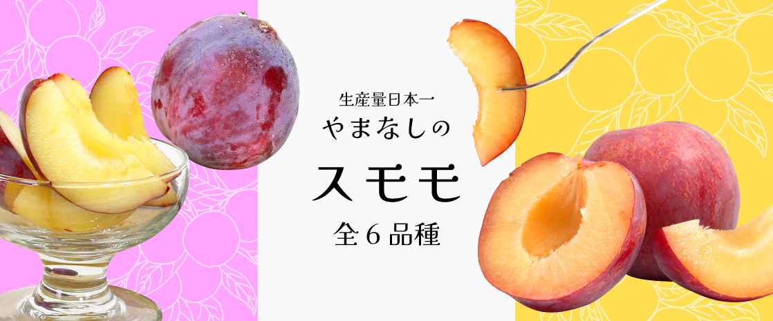 山梨県産 すもも プラム 貴陽 太陽 ソルダム 大石