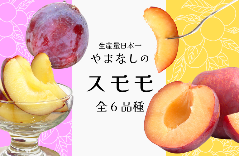 山梨県産 すもも プラム 貴陽 太陽 ソルダム 大石