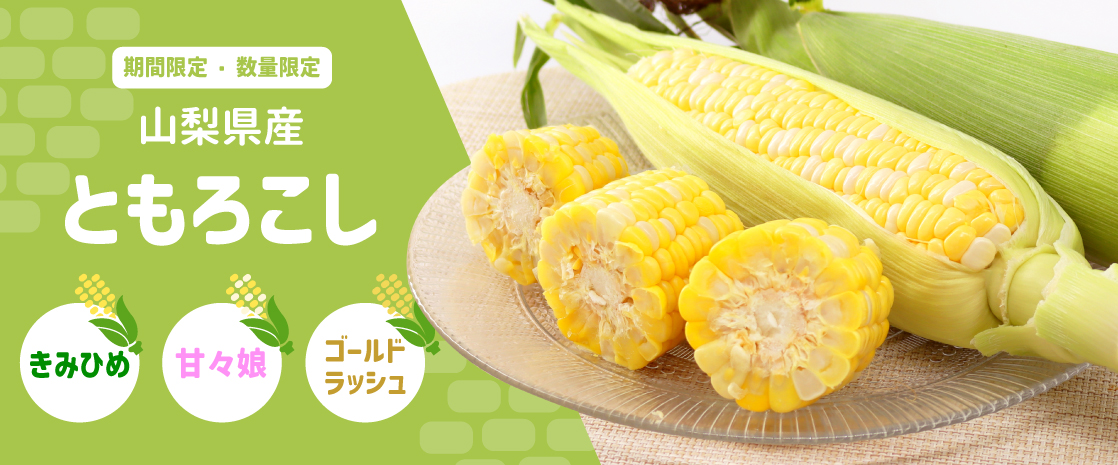 山梨県産 とうもろこし きみひめ 甘々娘 ゴールドラッシュ ヤングコーン 山梨百貨店
