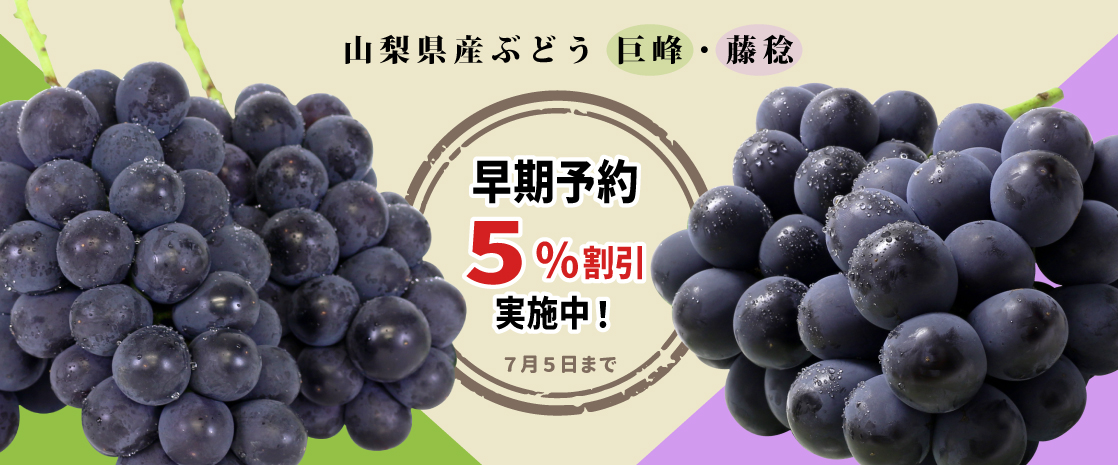 山梨県産 ぶどう 藤稔 巨峰 山梨百貨店