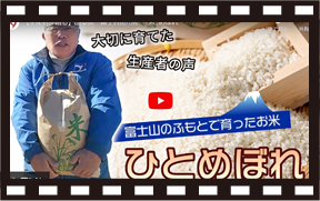 商品紹介動画 お米 ひとめぼれ 佐藤農園 山梨百貨店