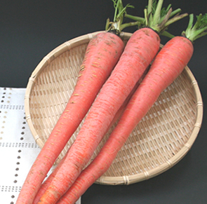 大塚にんじん 山梨県産 農家直送 野菜 青果フロア 山梨百貨店