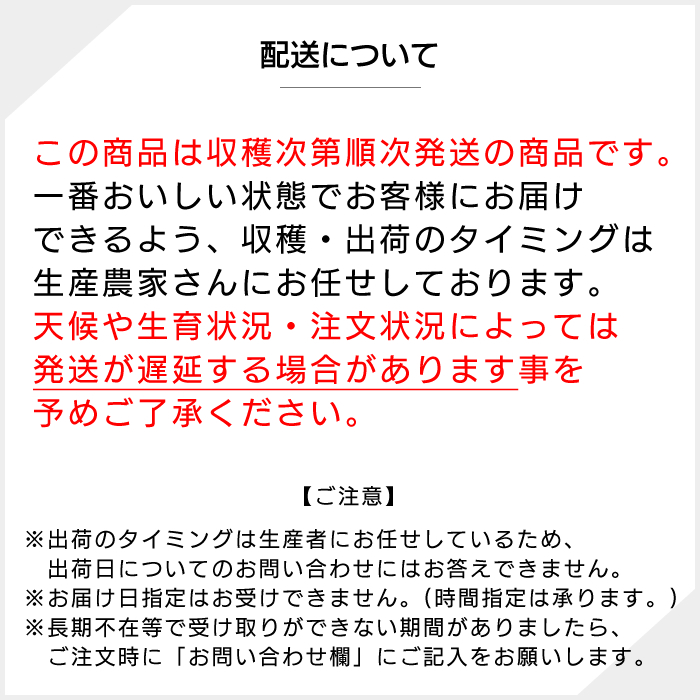 山梨百貨店 山梨 市川三郷産 大塚にんじん 長さに驚き 高い栄養価 色鮮やか 甘い人参 テレビ 旅サラダでも話題 JA西八代