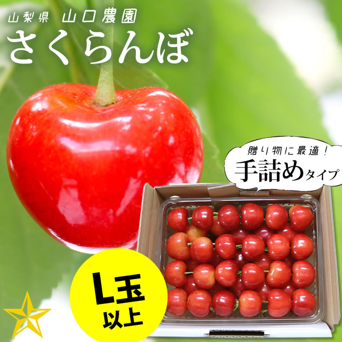 ギフトに最適　(パック入り)　さくらんぼ　山梨百貨店　【送料無料】　500g・1kg　山梨県　山口農園　3段手詰め　農家直送