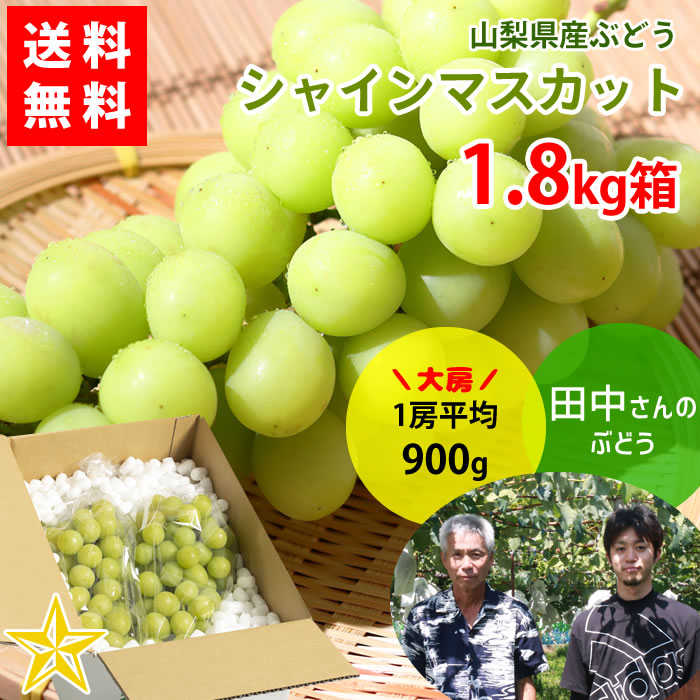うまい様専用シャインマスカット15キロ - 2