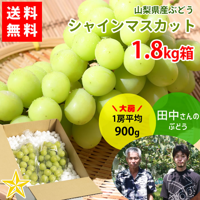 山梨百貨店 / 【送料無料】 シャインマスカット 1.8kg箱 (2～3房入り