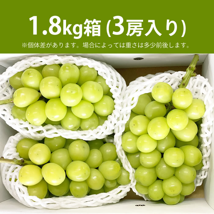 【送料無料】 シャインマスカット 1.8kg箱 (3房) 北浦ファーム 山梨県 農家直送